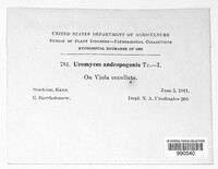 Image Associated With the Occurence